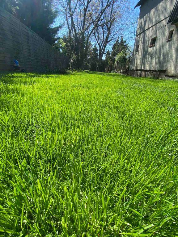 Kerti-p-zsit-kialak-t-sa