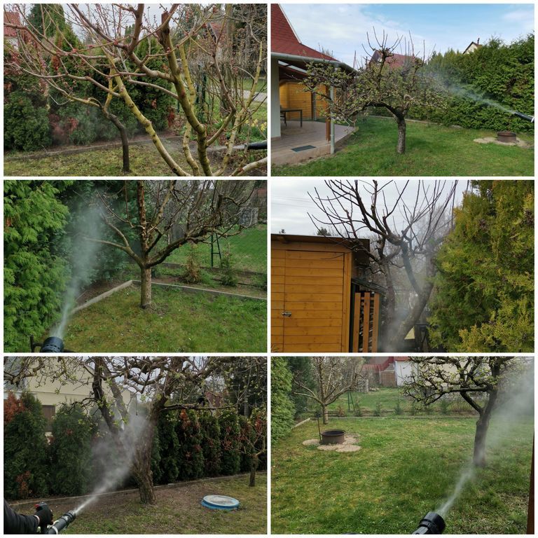 Tavaszi-Őszi lemosó permetezés, Növényvédelem.