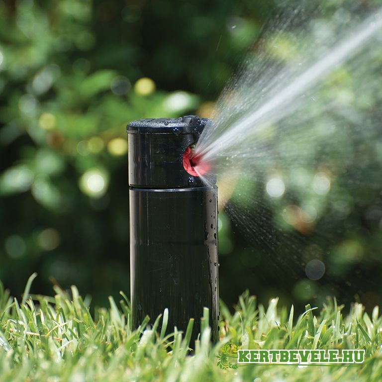 -nt-z-rendszer--p-t-se