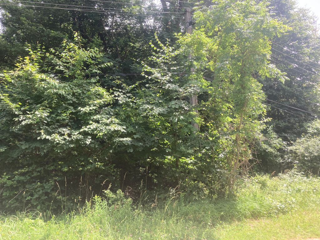 Telektisztítás előtt, Dobogókő