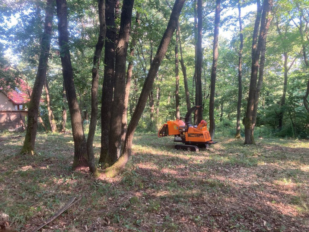 Telektisztítás vége, Dobogókő