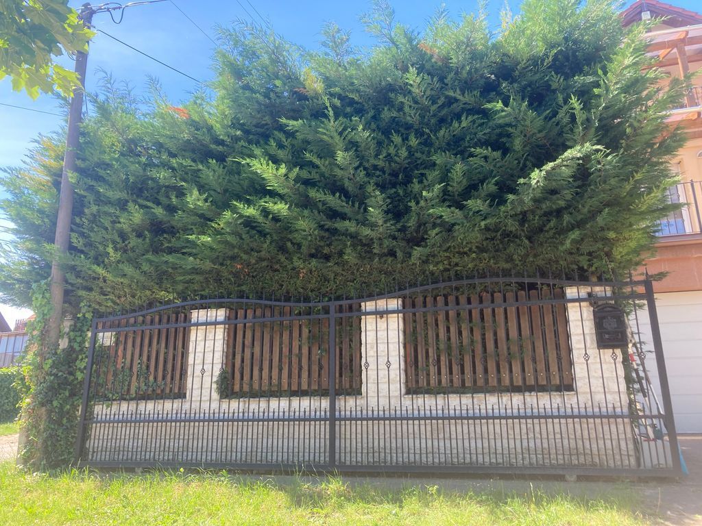 Sövénynyírás előtt