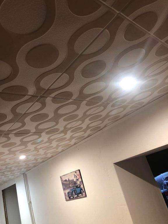 -llmenyezet-Spot-L-mp-kkal