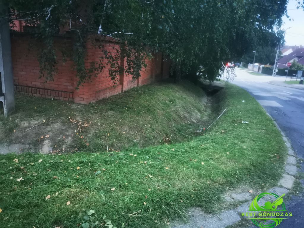 Siófok Fűkaszálás 
