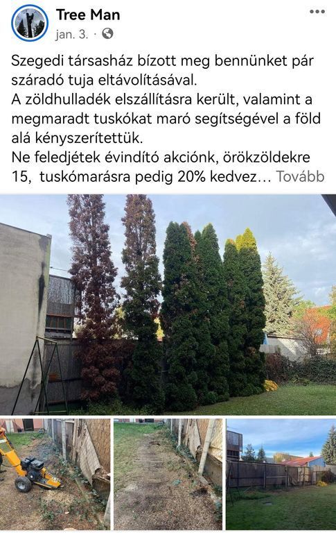 Tuja eltávolítás