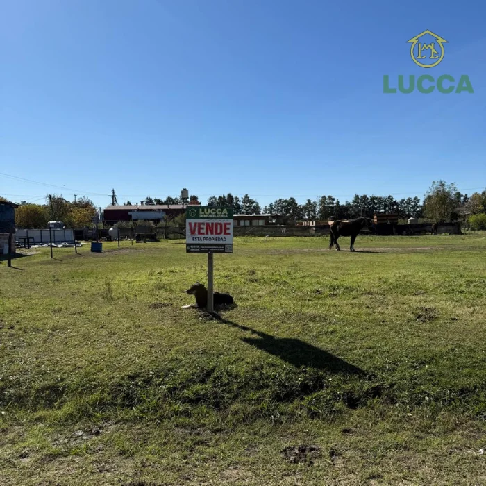 Lotes contiguos de 800 m² en Villa Lía, San Antonio de Areco
