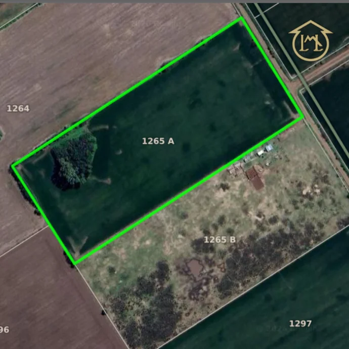 8.6 HA. 100 % agrícolas en Villa Espil, San Andrés de Giles