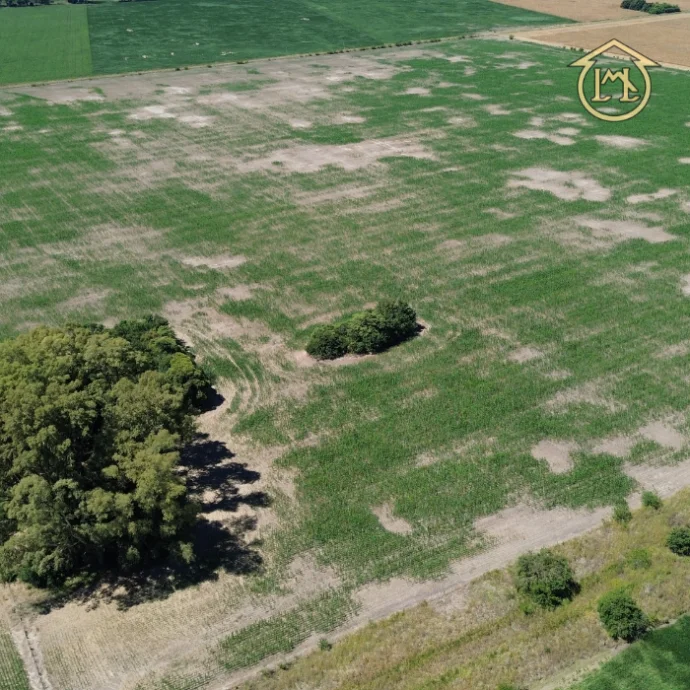 Campo de 40.4 Has 100% Agrícola - Azcuénaga, San Andrés De Giles