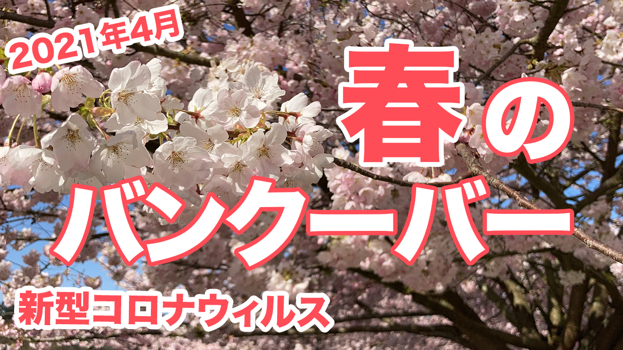 【2021年4月】新型コロナウィルスの規制がはじまった1年前と比較したバンクーバーの春の様子