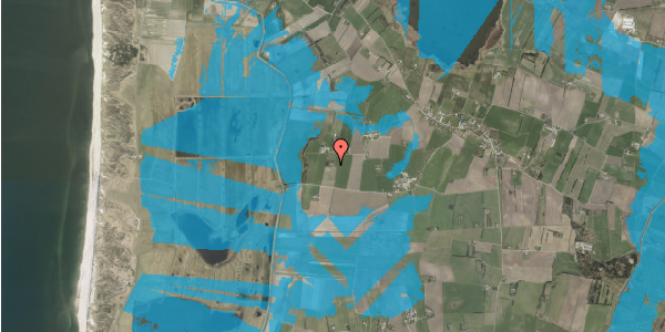 Oversvømmelsesrisiko fra vandløb på Tarpvej 14, 6990 Ulfborg