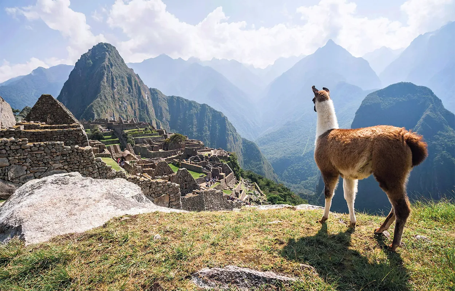 Machu Picchu - Peru