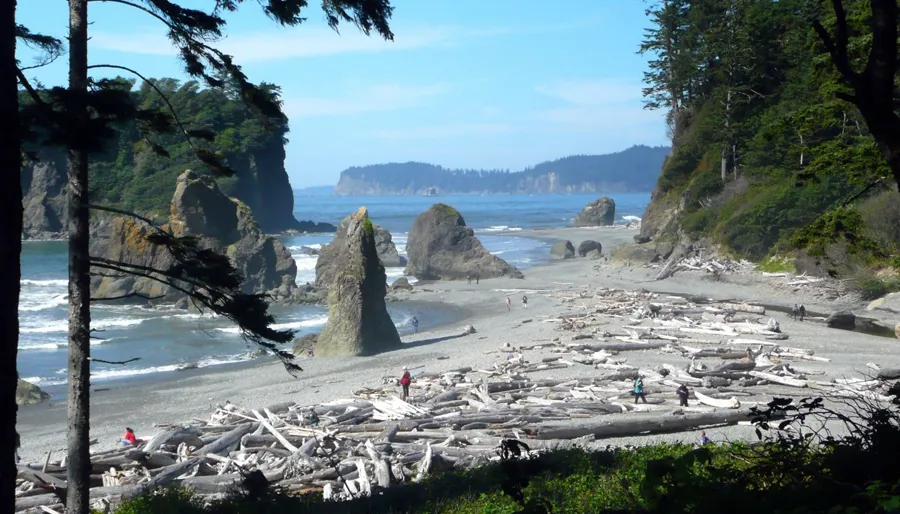 Olympic National Park