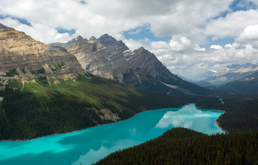 peyto lake