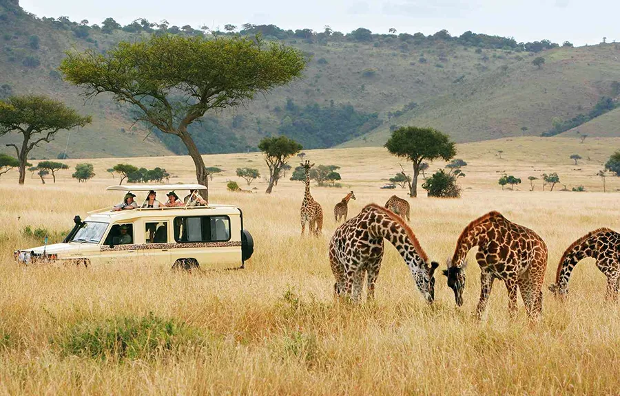 Safari Kenia