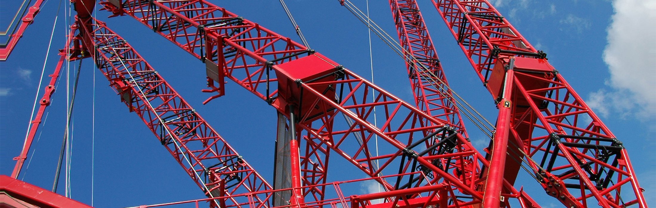 Customer-Built Large Crane in Mechanical Engineering Segment