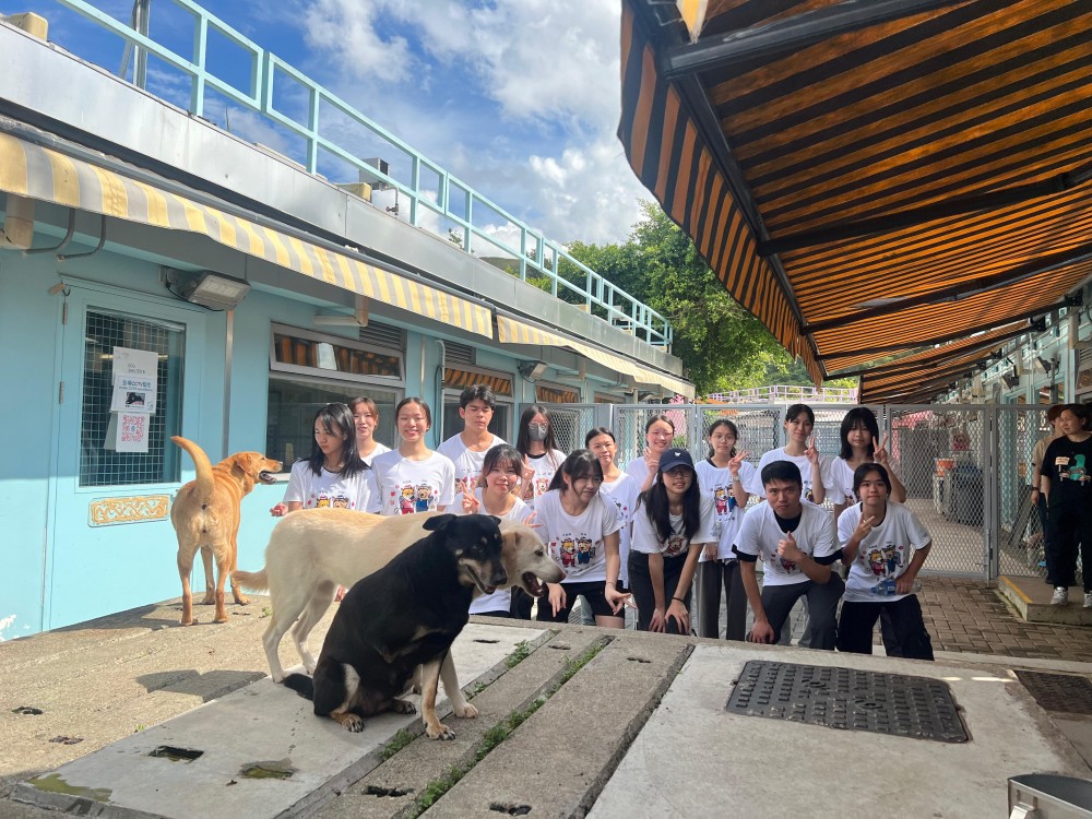 請即報名參加救援集會：寵物活動義工，成為義工 Volunteer for  now