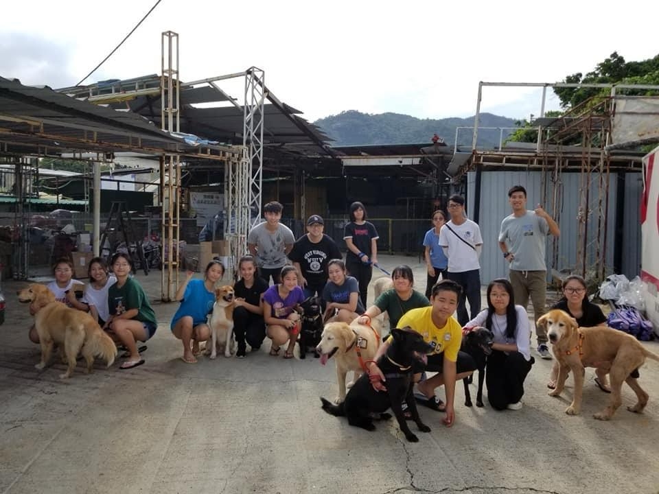 請即報名參加與毛孩同行 - 狗場義工服務(8月)，成為義工 Volunteer for  now