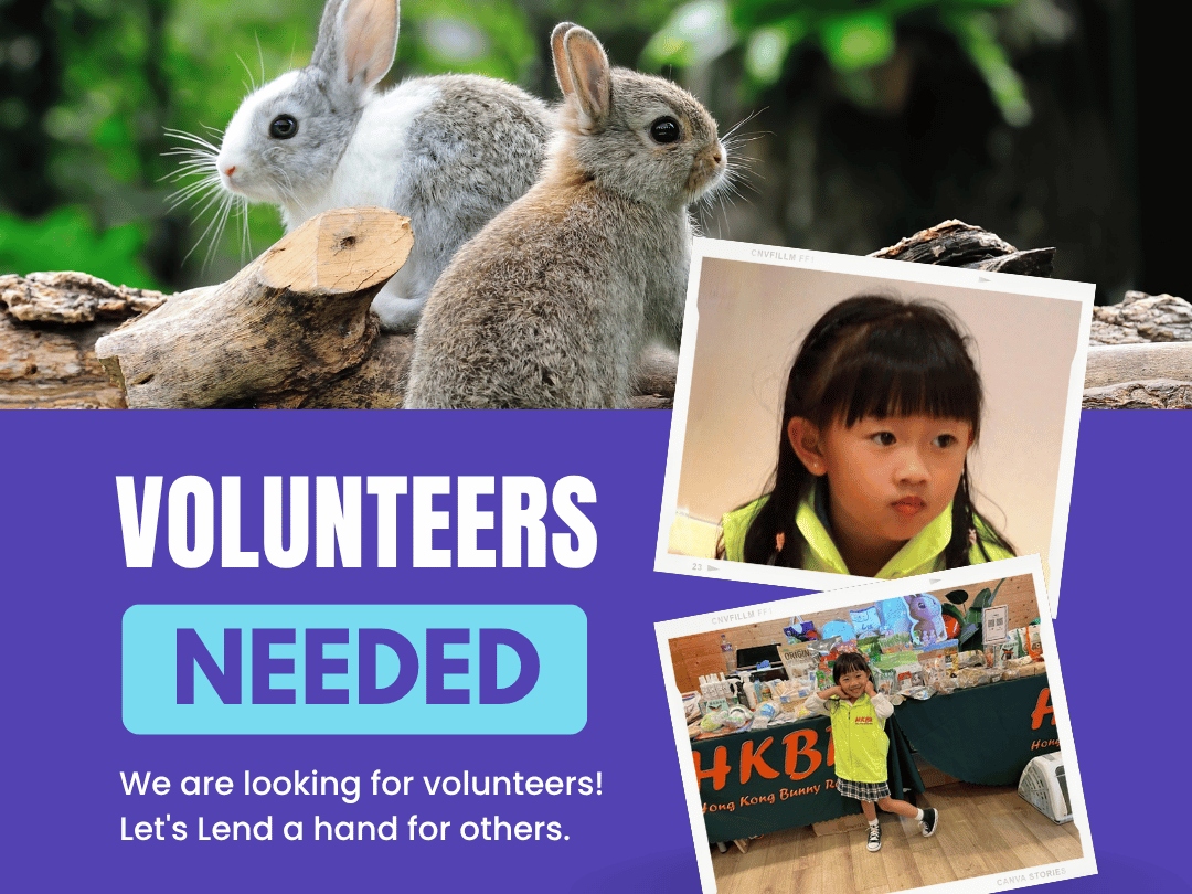 請即報名參加寵物節義工招募(5-7/6)，成為義工 Volunteer for  now