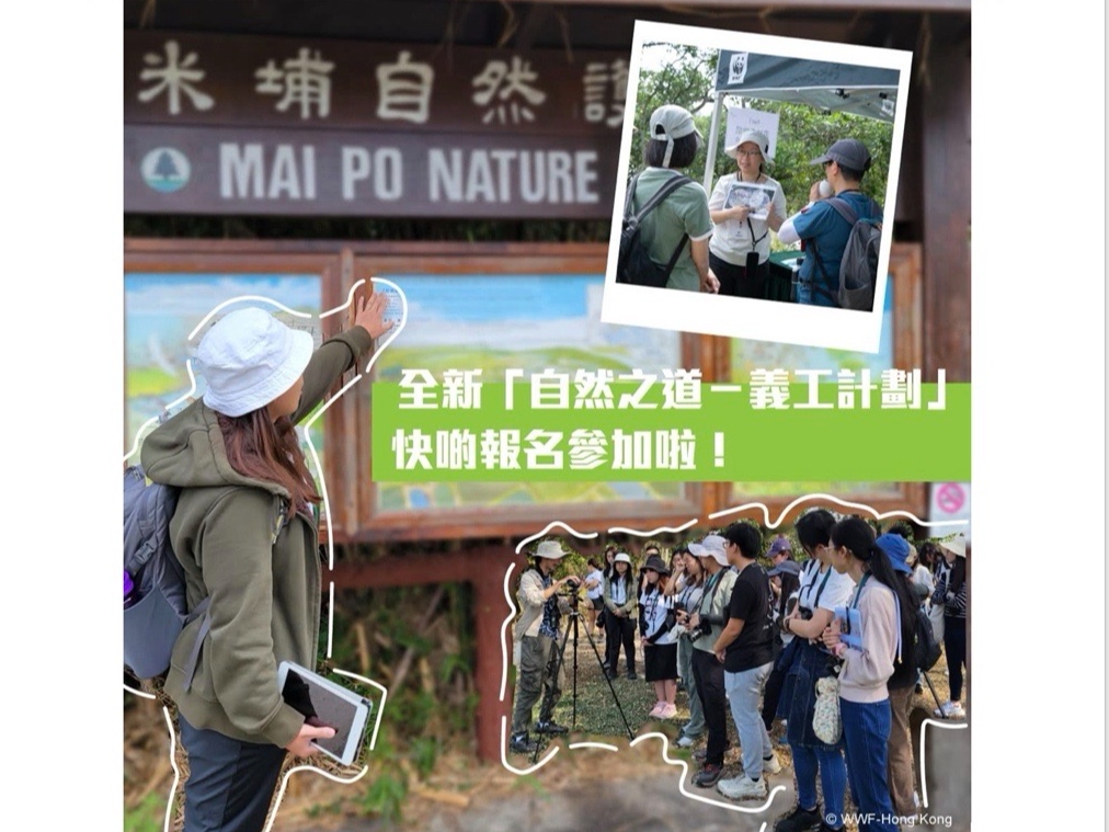 請即報名參加自然之道 - 義工計劃，成為義工 Volunteer for  now