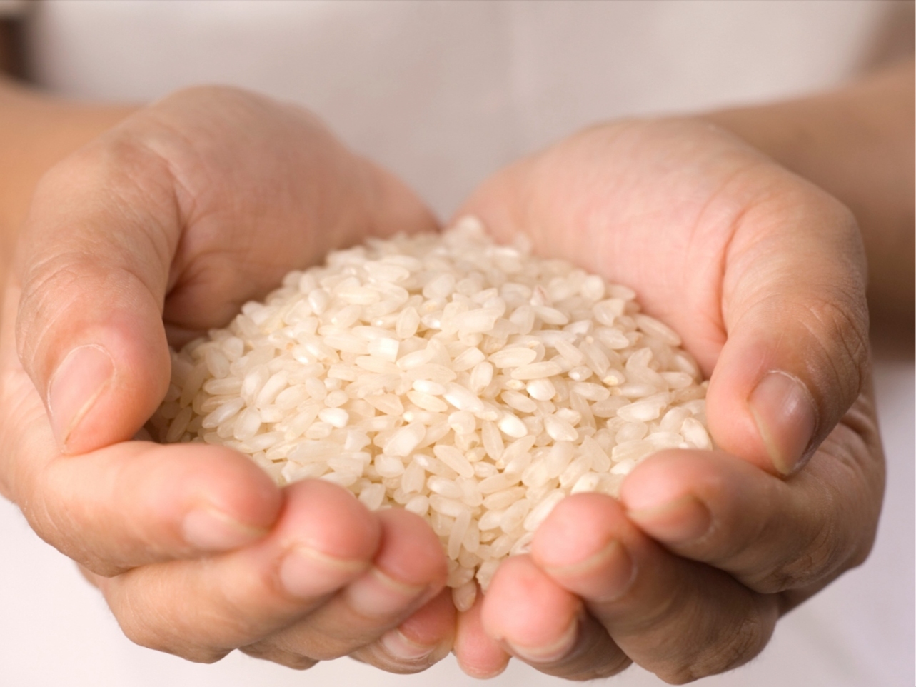 請即報名參加送米助人計劃-招募米站義工(8-9月),成為義工 Volunteer for now