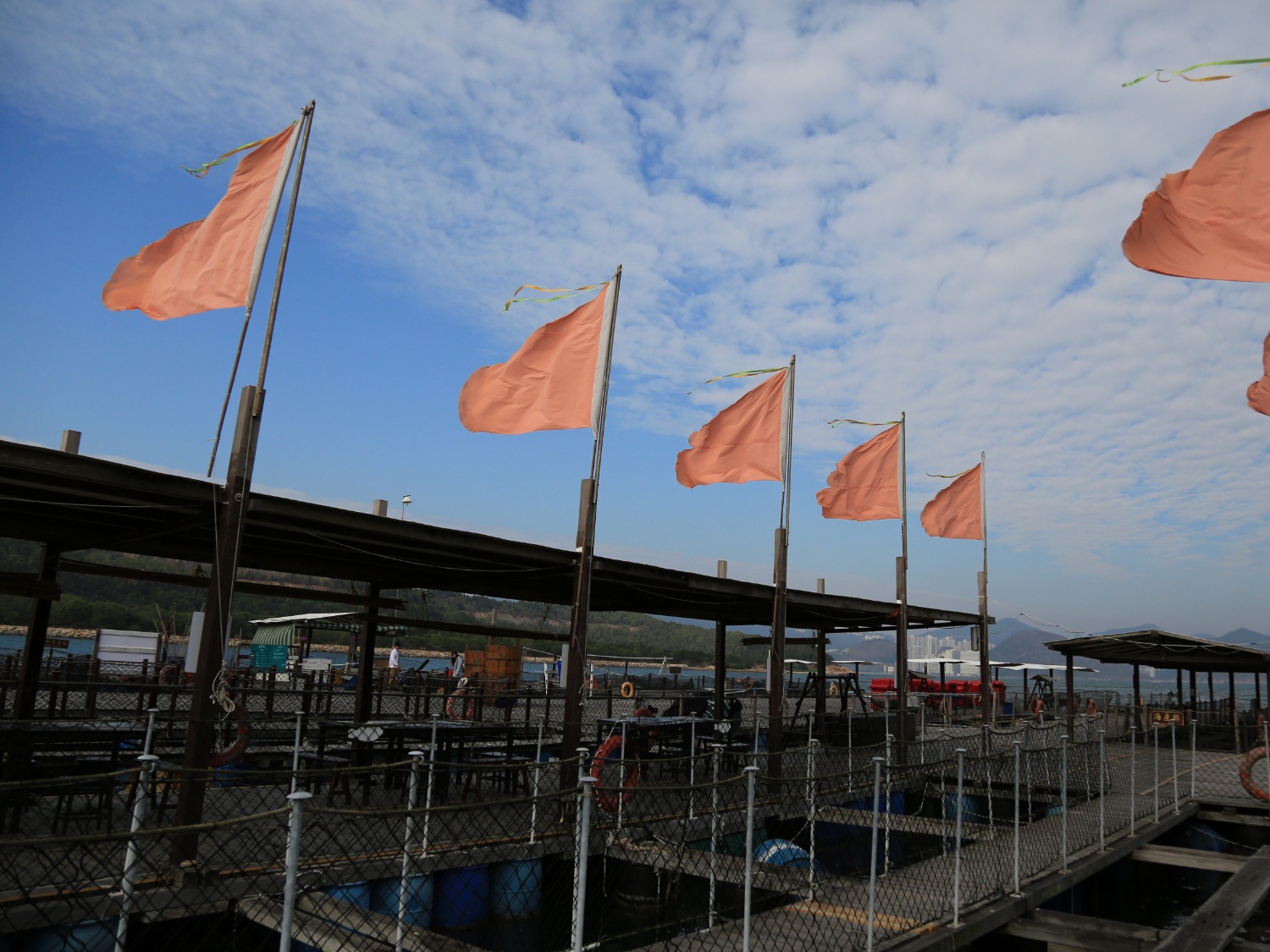 請即報名參加漁民導賞員義工，成為義工 Volunteer for  now