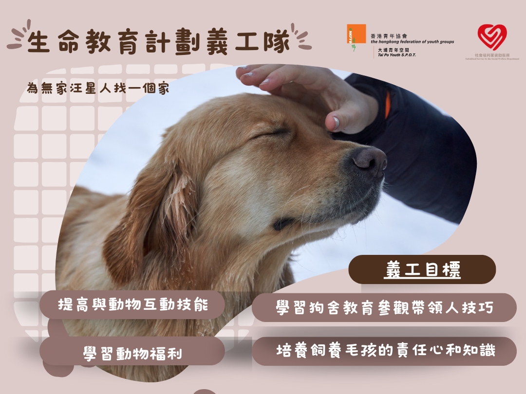 請即報名參加[為汪星人找一個家] 生命教育計劃義工隊，成為義工 Volunteer for  now