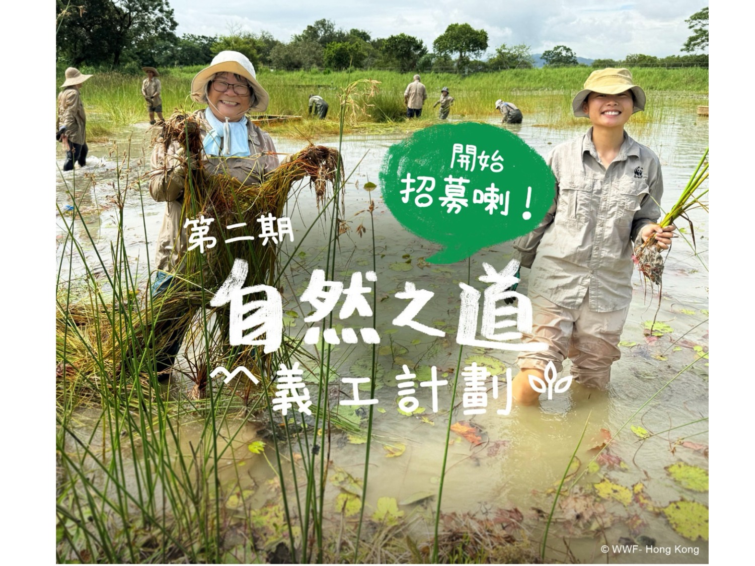 請即報名參加自然之道 - 義工計劃(第二期),成為義工 Volunteer for now