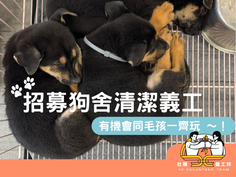 請即報名參加新手友善|動物服務【11月7日狗舍清潔】- 社職義工隊,成為義工 Volunteer for now