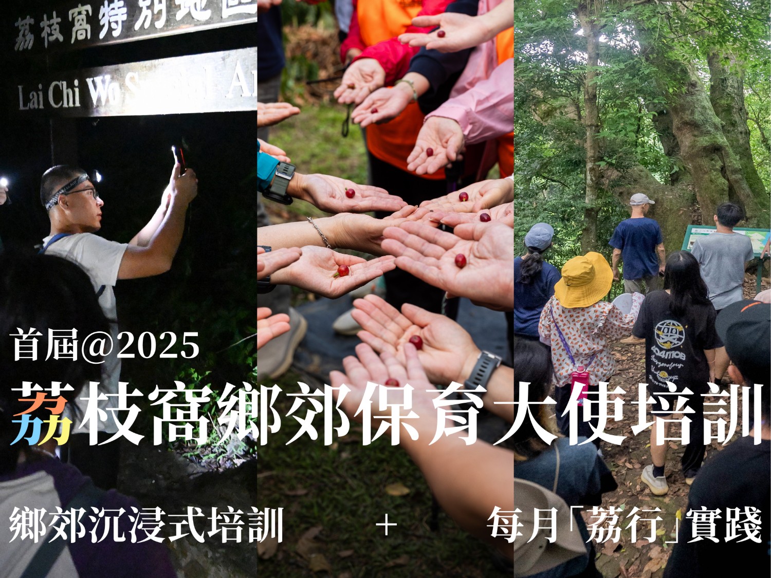 請即報名參加荔枝窩鄉郊保育大使,成為義工 Volunteer for now