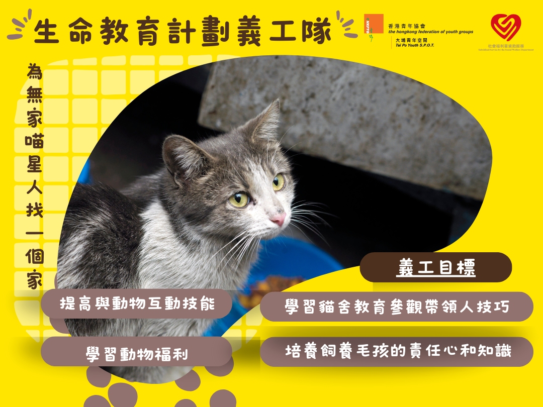 請即報名參加[為喵星人找一個家] 生命教育計劃義工隊，成為義工 Volunteer for  now