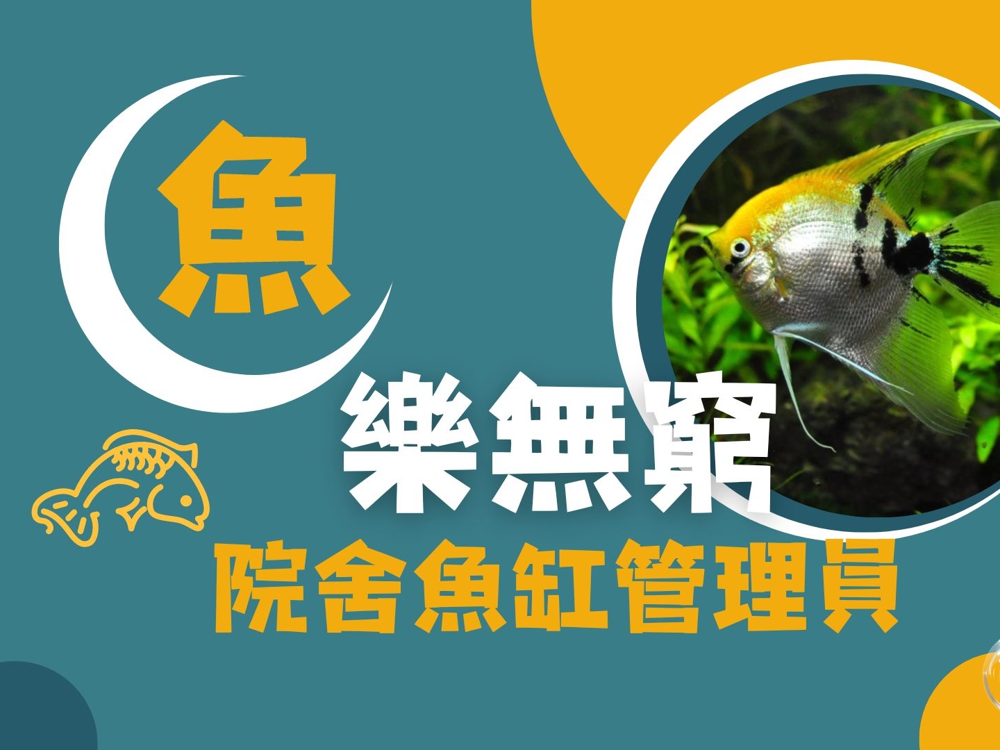 請即報名參加"魚"樂無窮-院舍魚缸管理員，成為義工 Volunteer for  now