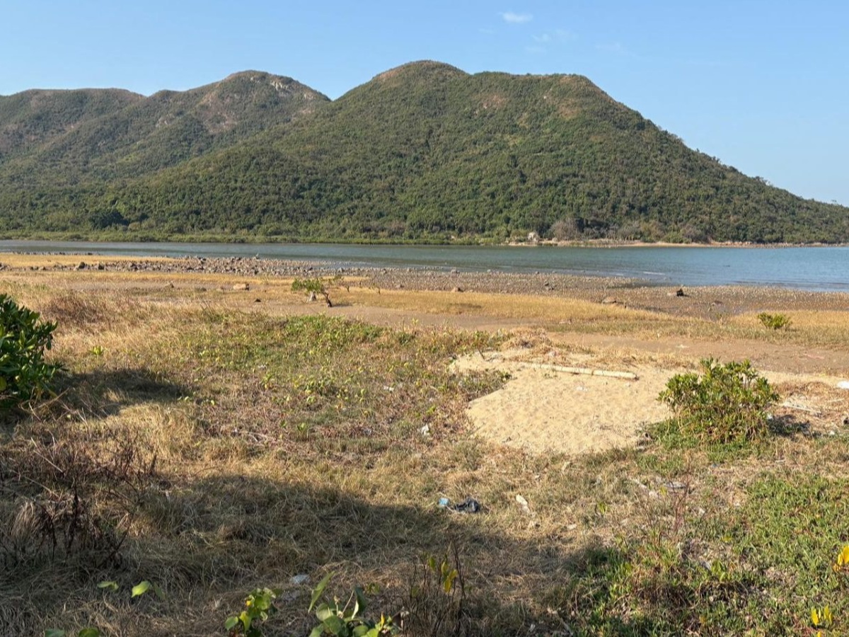 請即報名參加二澳野外清潔及蝴蝶導賞 義工招募(8月9日),成為義工 Volunteer for now