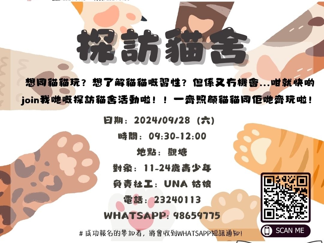 請即報名參加探訪貓舍(觀塘),成為義工 Volunteer for now