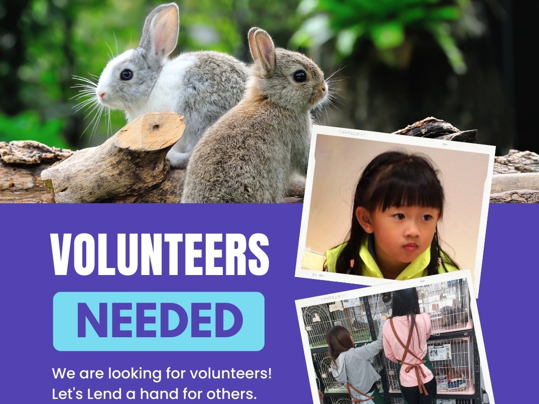 請即報名參加寵物節義工招募(6-8/6),成為義工 Volunteer for now