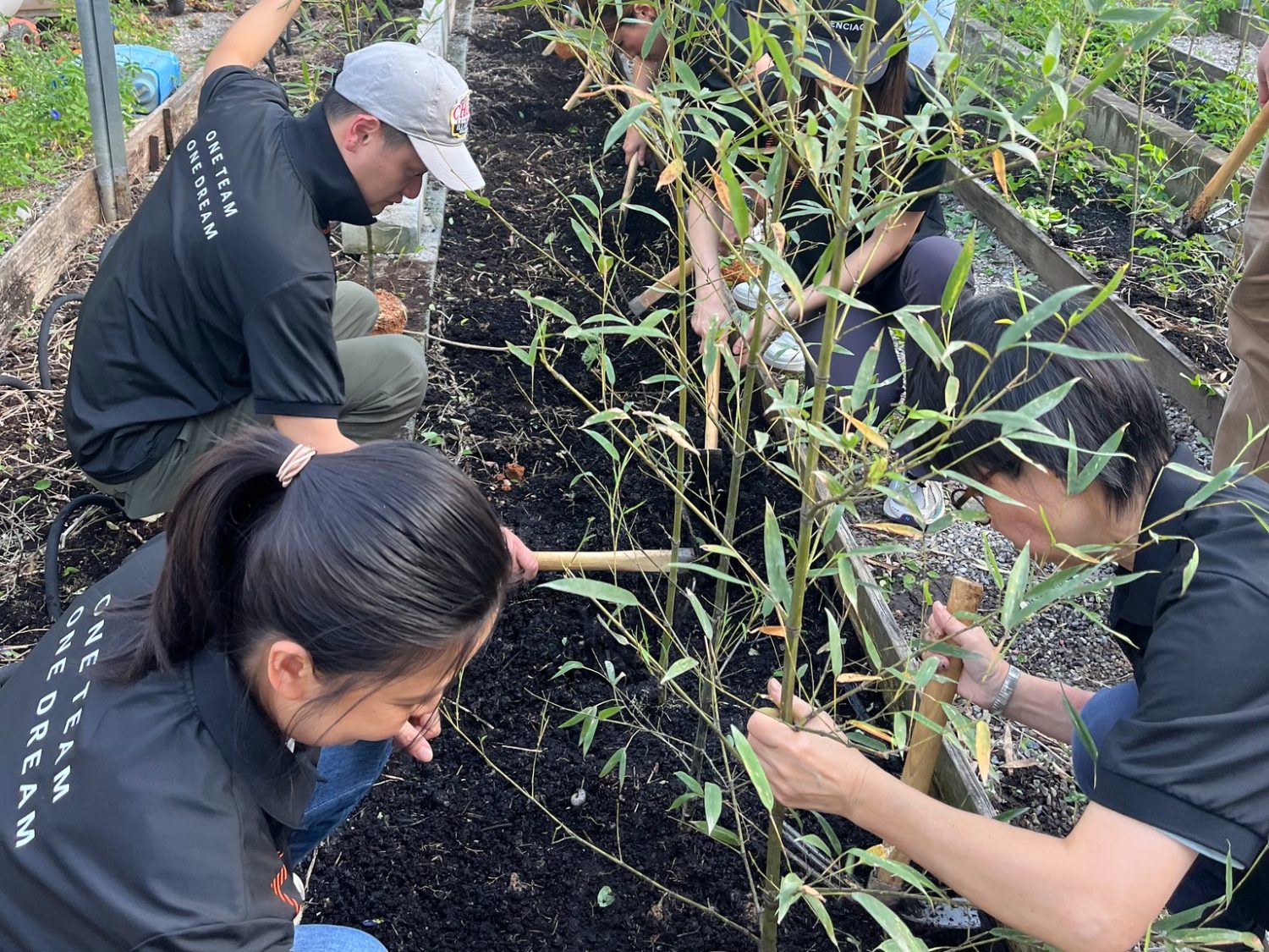 請即報名參加植竹體驗 『邁向碳中和』活動,成為義工 Volunteer for now