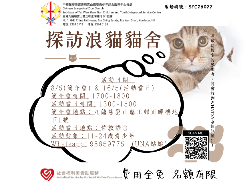 請即報名參加探訪浪貓貓舍，成為義工 Volunteer for  now