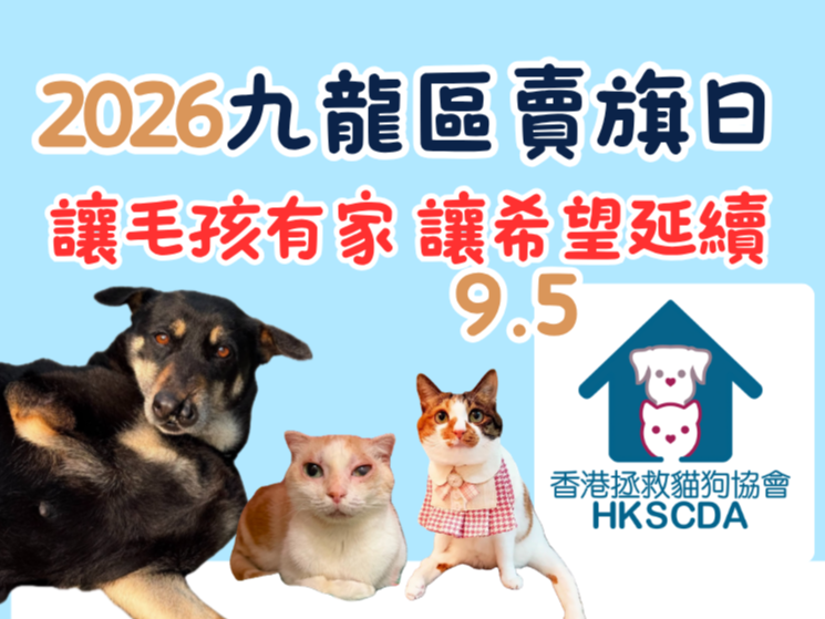 請即報名參加香港拯救貓狗協會 九龍區賣旗日 (2026.9.5)  ，成為義工 Volunteer for HK Saving Cat and Dog Association - Flag Day Kowloon (2026.9.5)   now