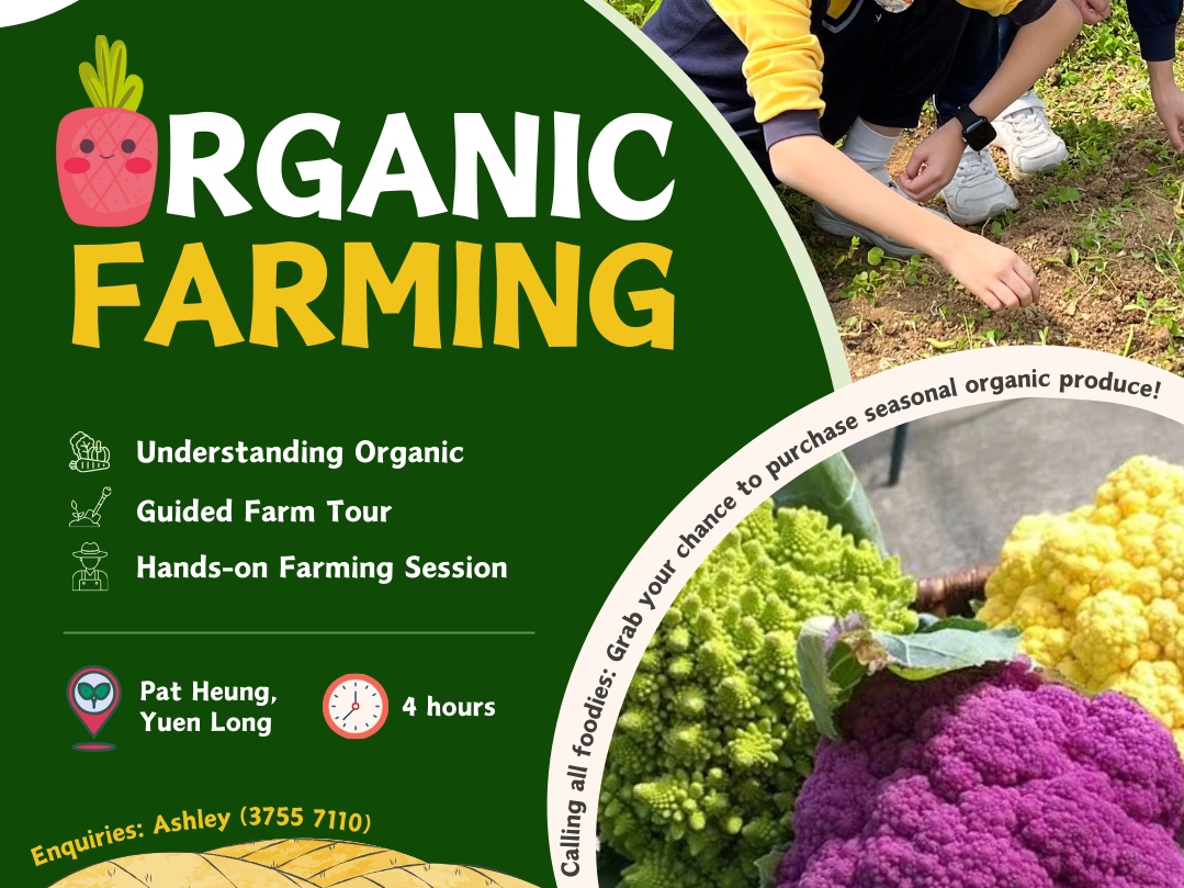 請即報名參加探索有機農莊 - 免費耕作體驗,成為義工 Volunteer for Volunteer at an Organic Farm and Enjoy a Free Organic Lunch with Us! now