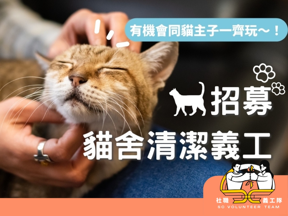 請即報名參加新手友善|動物服務【5月30日貓舍清潔】- 社職義工隊,成為義工 Volunteer for now