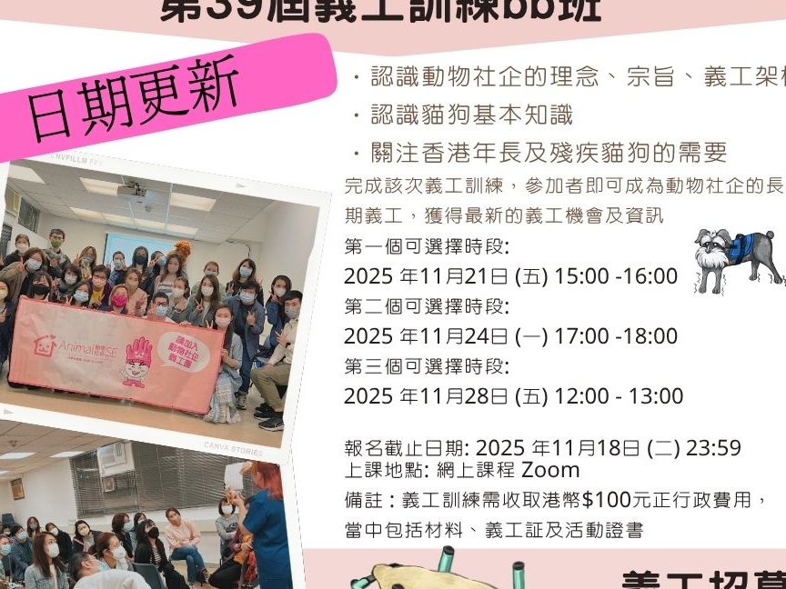 請即報名參加動物社企第39屆義工訓練BB班，成為義工 Volunteer for  now