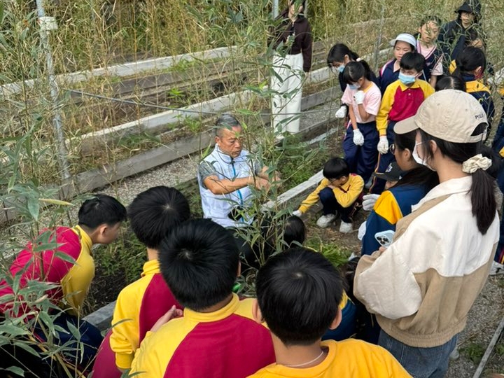 請即報名參加植竹體驗工作坊，成為義工 Volunteer for  now