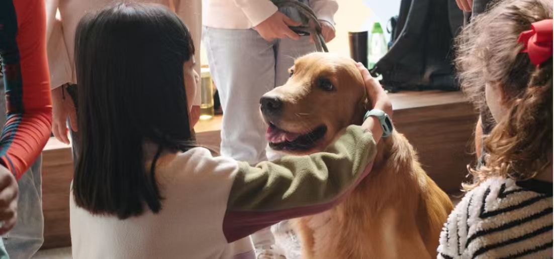 請即報名參加，成為義工 Volunteer for Therapy Dog Public Awareness Booth Support now