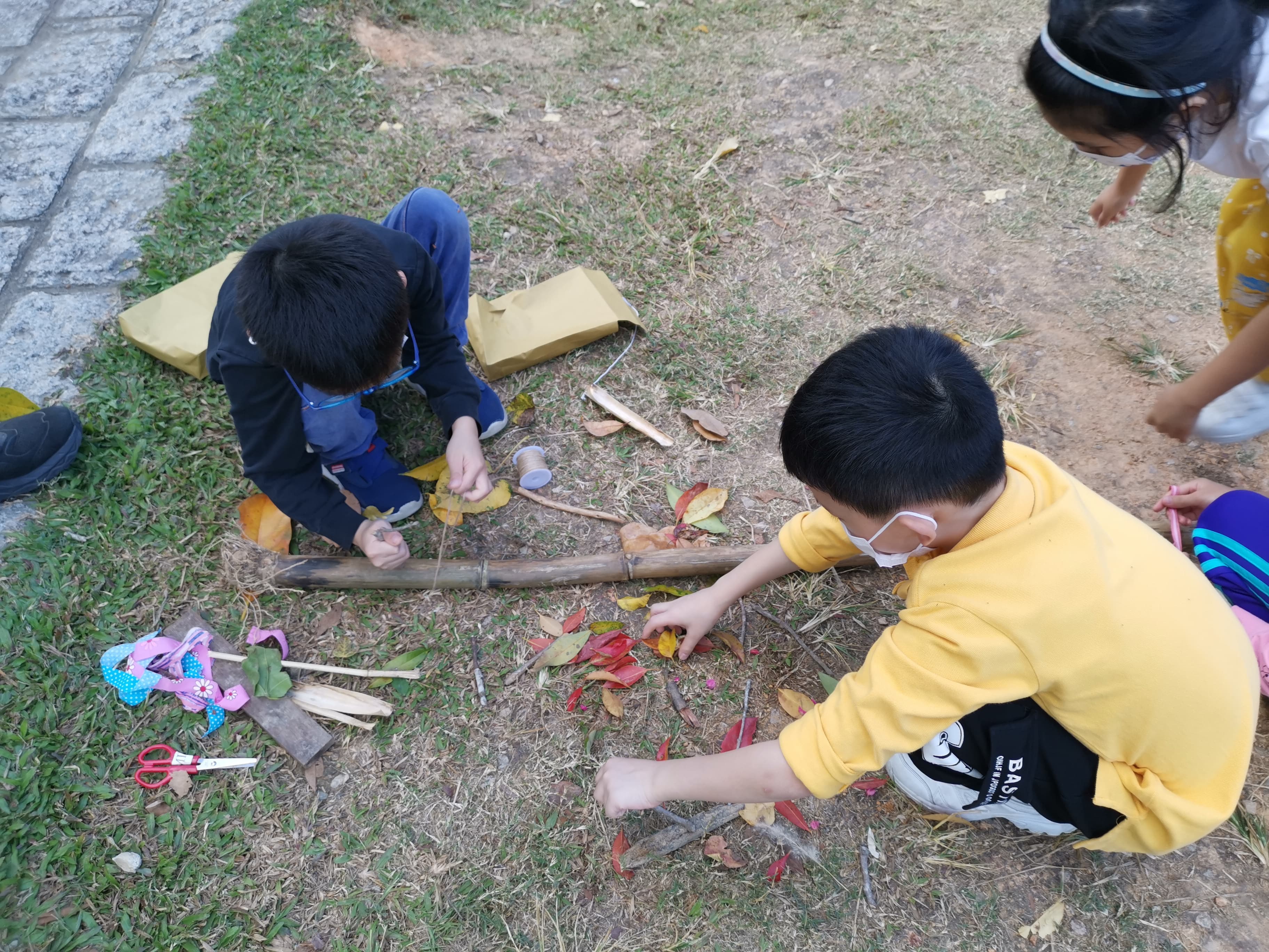 請即報名參加,成為義工 Volunteer for Nature Art Workshop Facilitator (22 Nov 2025) now