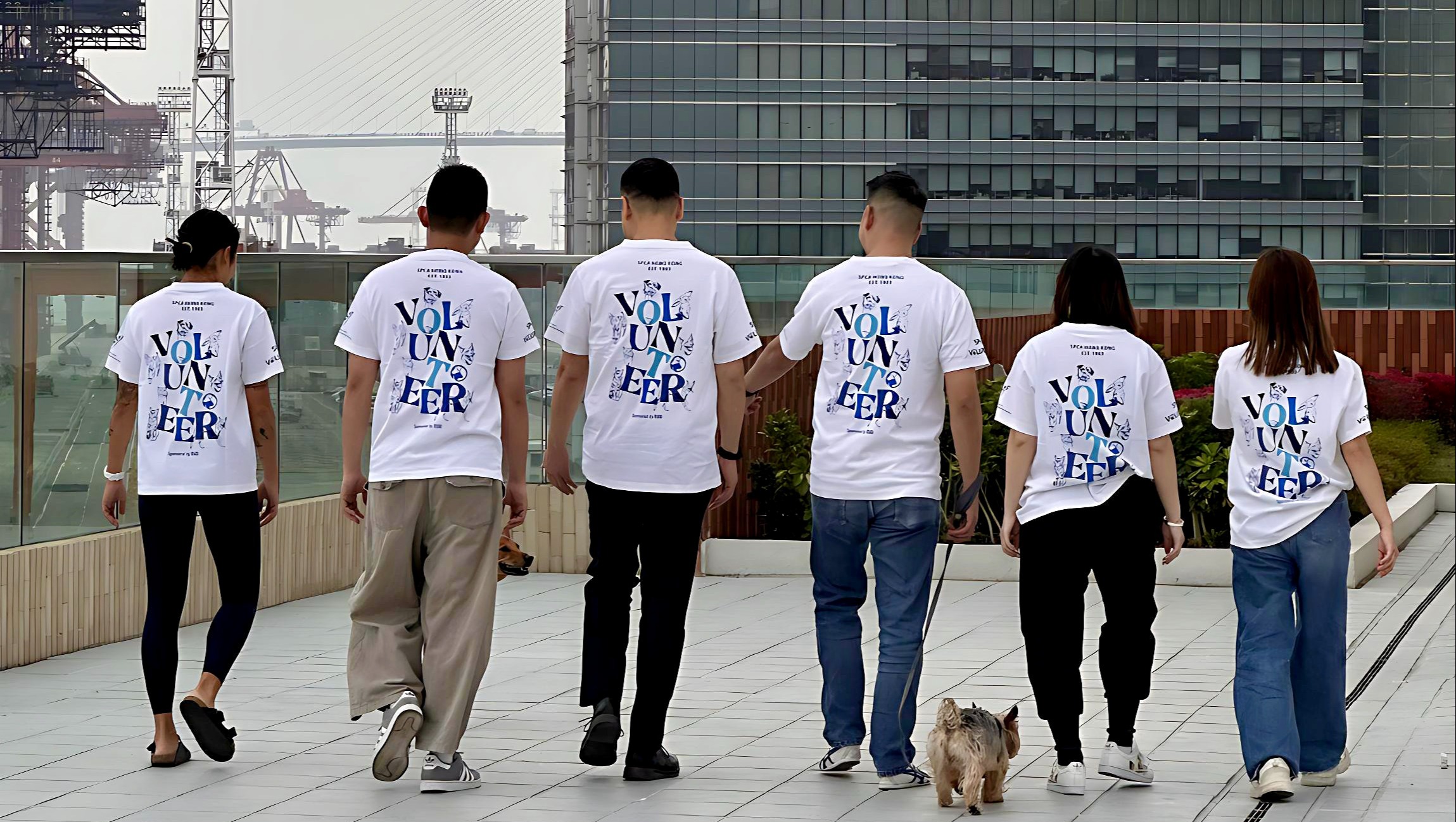 請即報名參加，成為義工 Volunteer for Early Childhood Education Training Workshop Trainer now