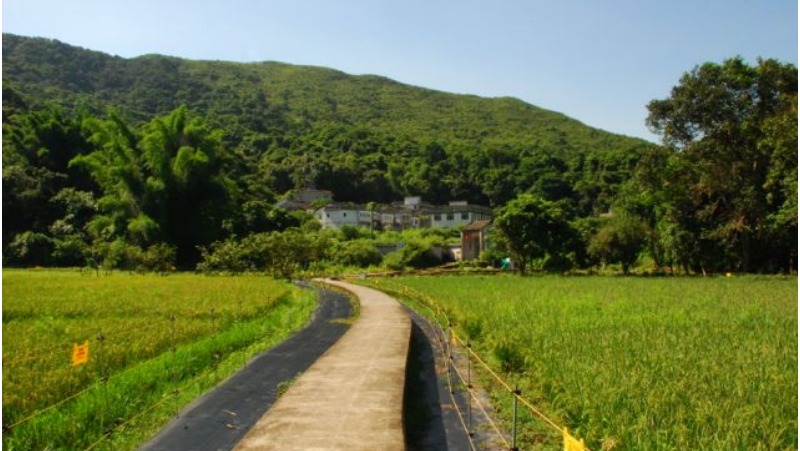 請即報名參加，成為義工 Volunteer for Media Archive now