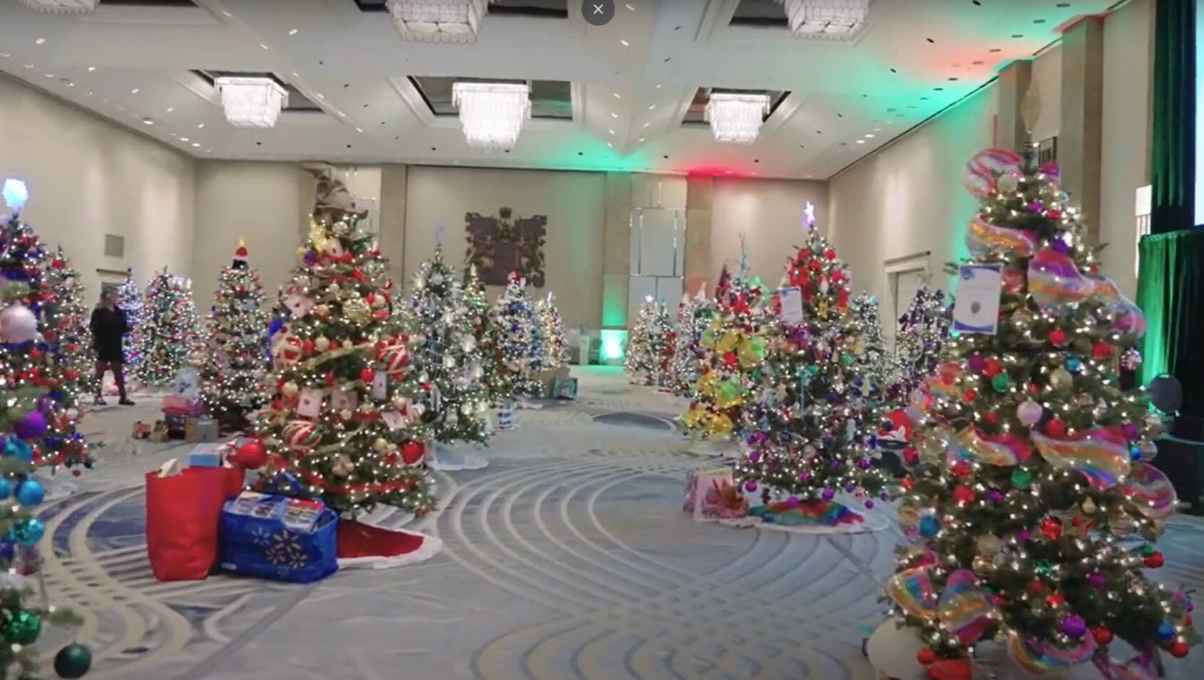 請即報名參加，成為義工 Volunteer for Donate Christmas Tree to our Wish Children now