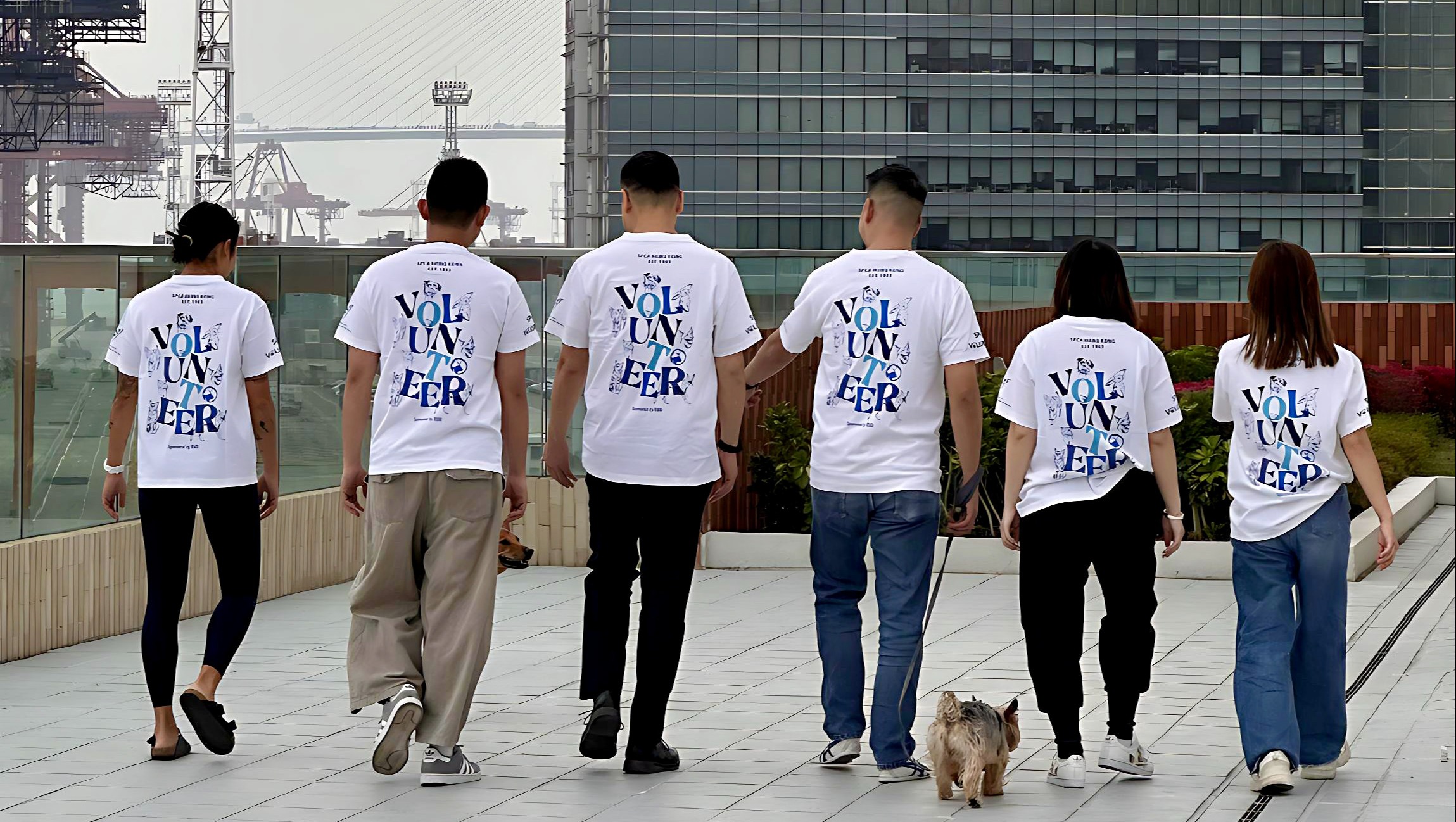 請即報名參加，成為義工 Volunteer for Volunteer Program Assessment Analyst now