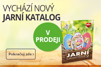 katalog