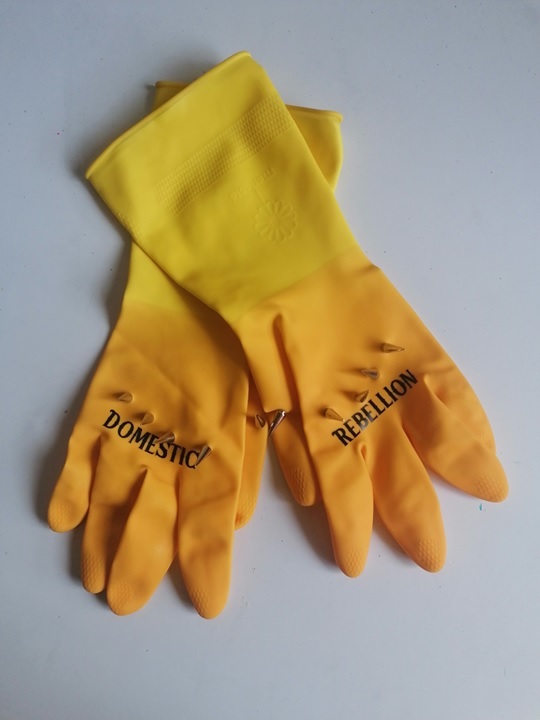 Gloves, Amanda Lynch