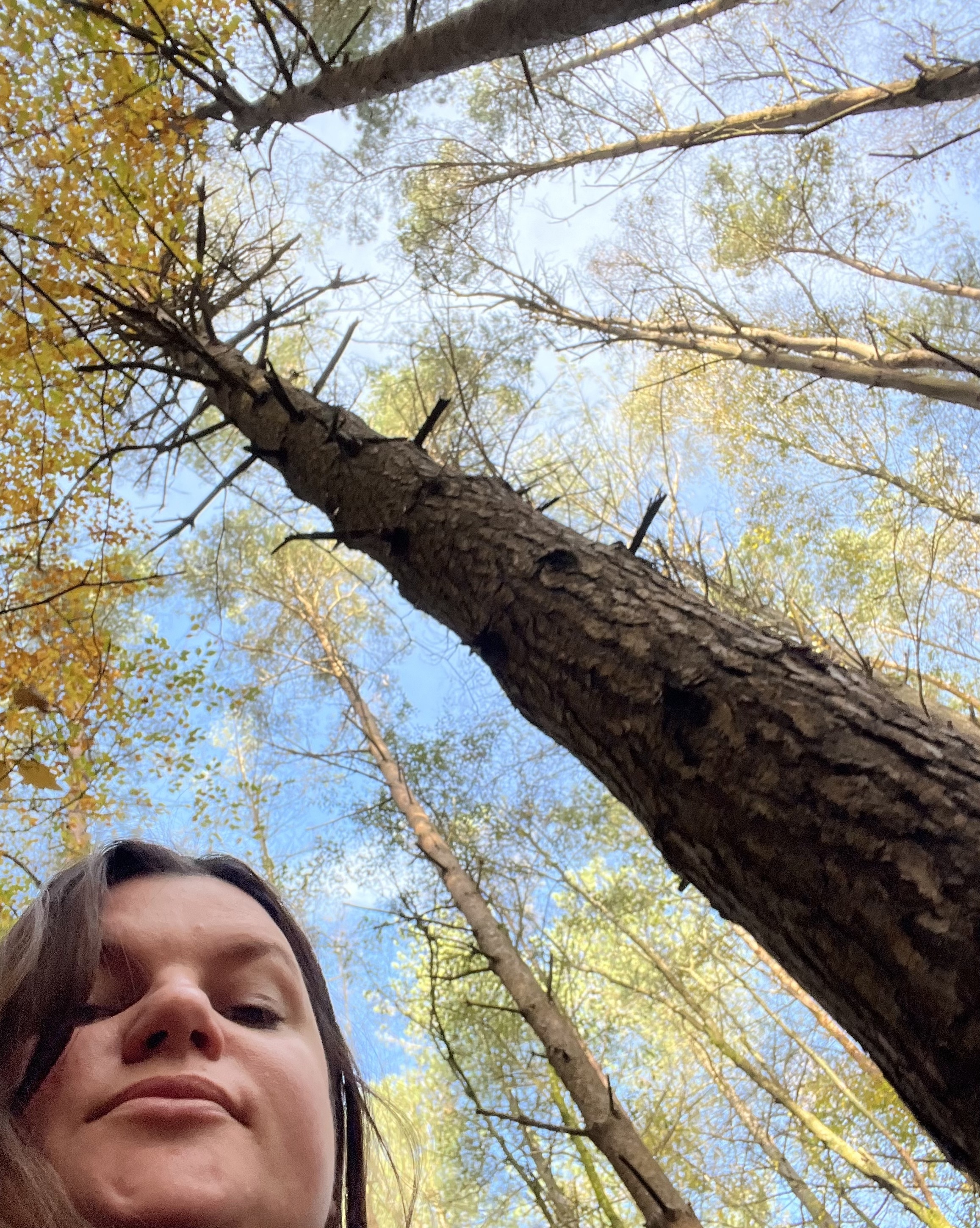 A close up selfie of a woman taken underneath a canopy of trees